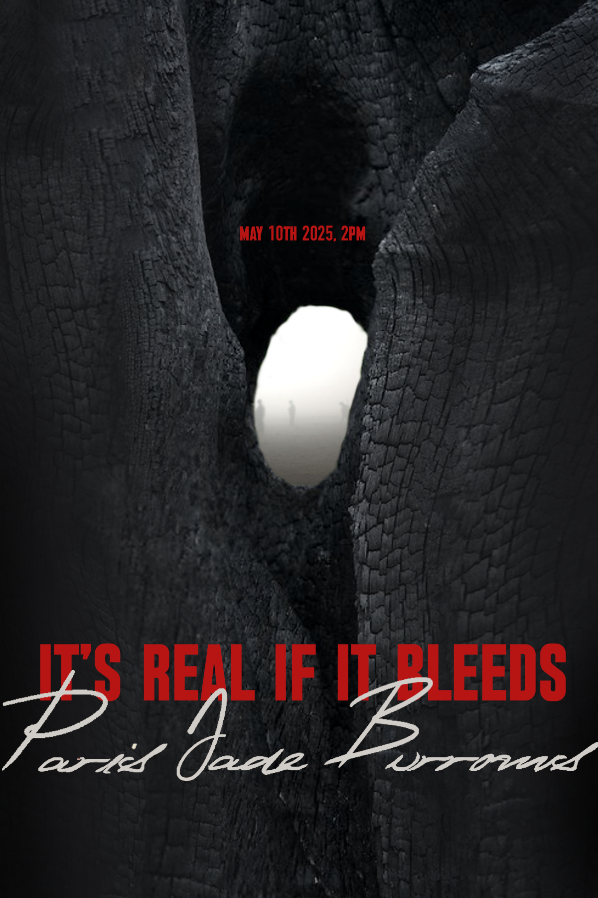 It's Real If It Bleeds (Hard Cover) Lookbook
